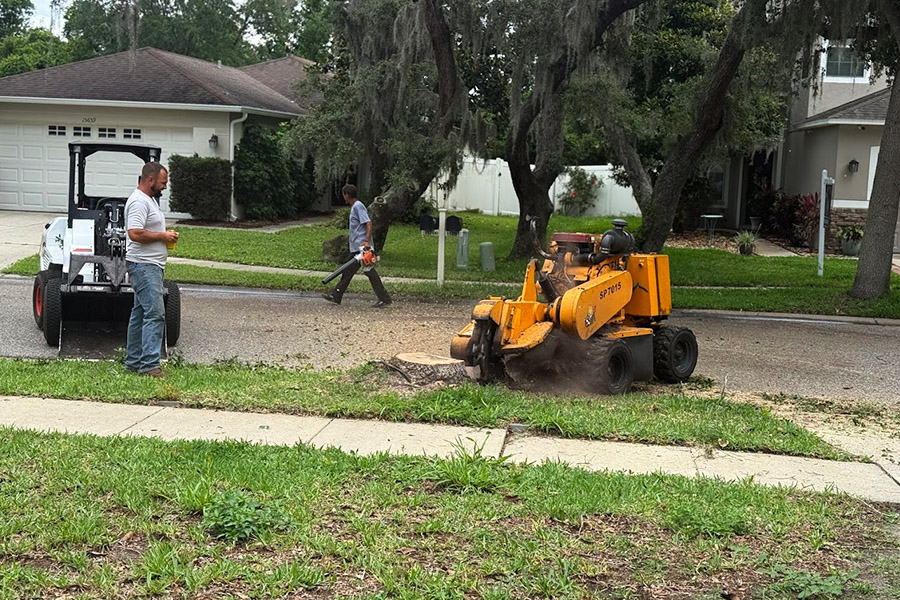 Stump Grinding and Removal in Port Richey, FL