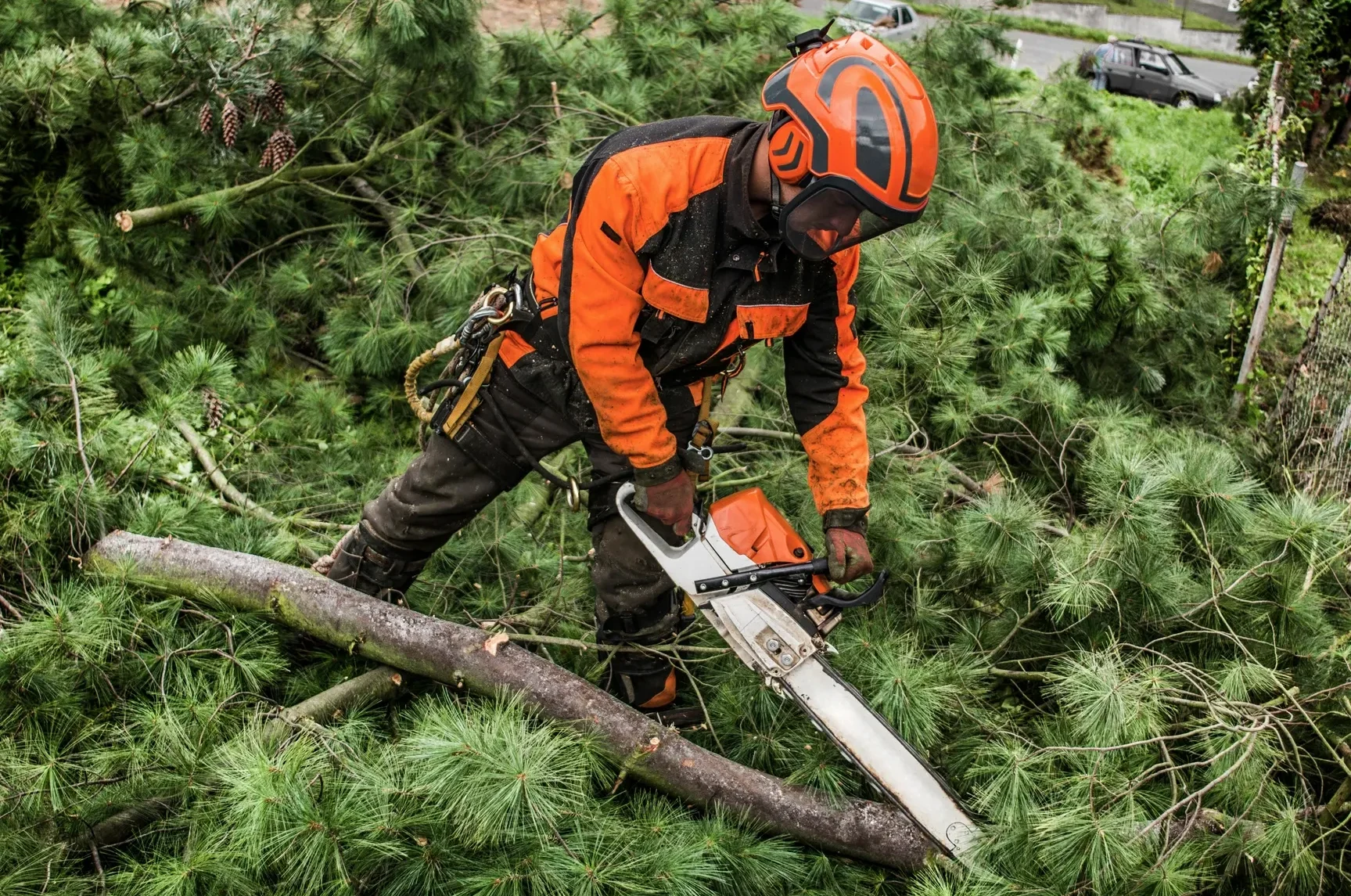 lumberjack-with-chainsaw-cutting-a-tree-in-tow